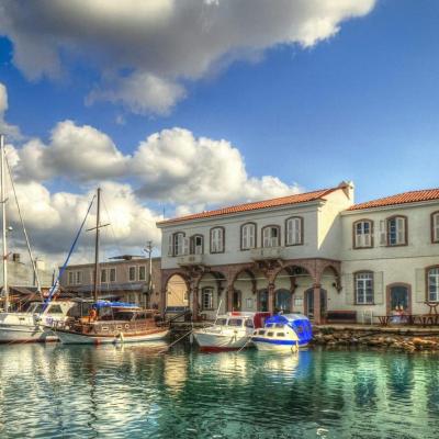 Urla Town and Vineyard Tour 