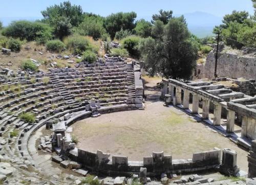 Priene, Miletus and Didyma Full-Day Tour - 4