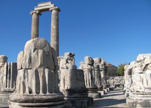 Priene, Miletus and Didyma Full-Day Tour - 3