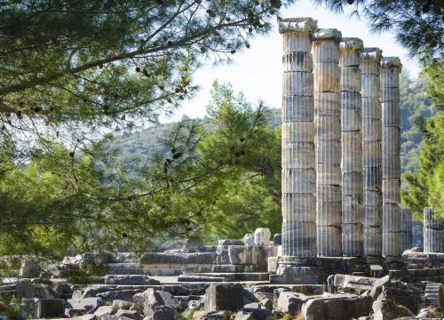 Priene, Miletus and Didyma Full-Day Tour - 1