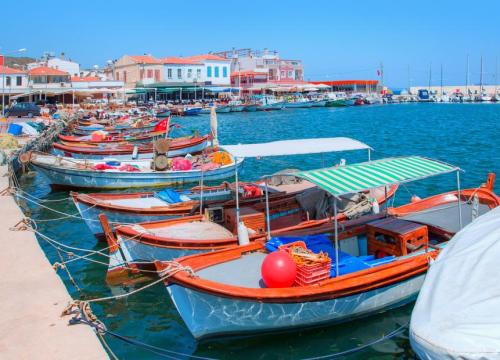 Urla Town and Vineyard Tour  - 5