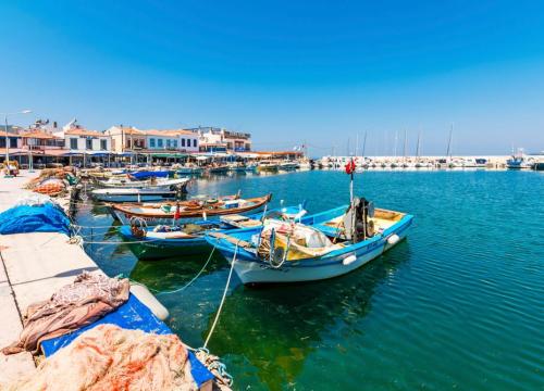 Urla Town and Vineyard Tour  - 4