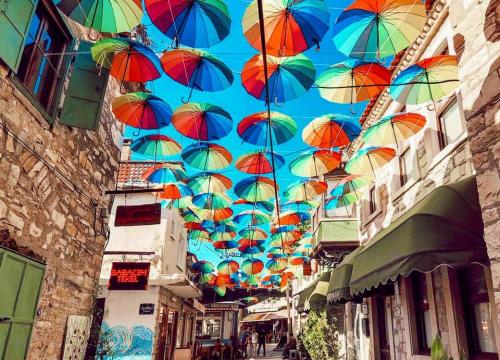 Urla Town and Vineyard Tour  - 3