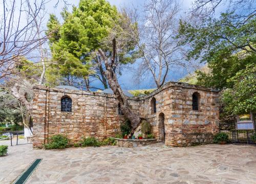 Ephesus Tour from Izmir Cruise Port - 1