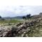 The First Settlement Area of ​​Pergamon City with its Ancient Name | Daily Culture Tours