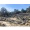 Priene Ancient City Arkeopolis | Daily Culture Tours