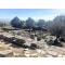 Priene Ancient City Arkeopolis | Daily Culture Tours