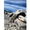 Didyma Temple of Apollo | Daily Culture Tours