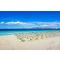 Izmir Adnan Menderes Airport Cesme Transportation | Izmir Airport Cesme Transfer
