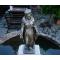 Sirince Village | Ephesus, Virgin Mary & Sirince Tour