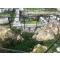 Pergamon Asclepion Ancient City - Daily Pergamon Tour